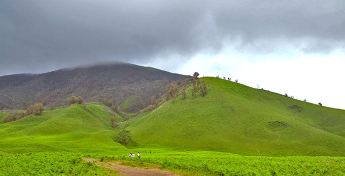 bukit teletubbies wisata gunung bromo
