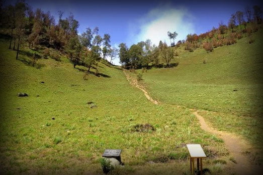 pemandangan tanjakan cinta ranu kumbolo