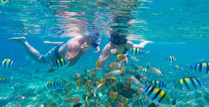 snorkeling wisata pulau seribu untuk keluarga
