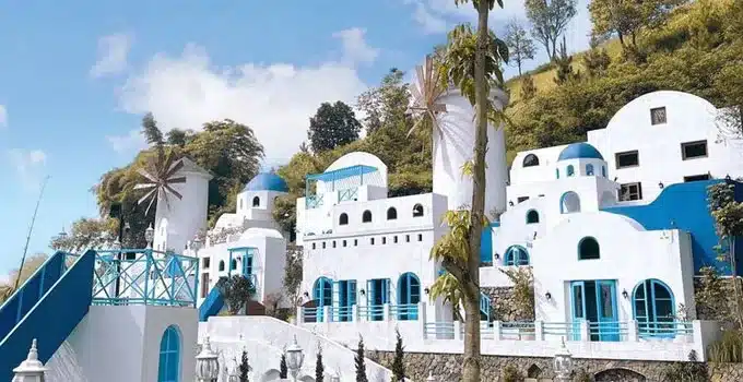 sarae hills